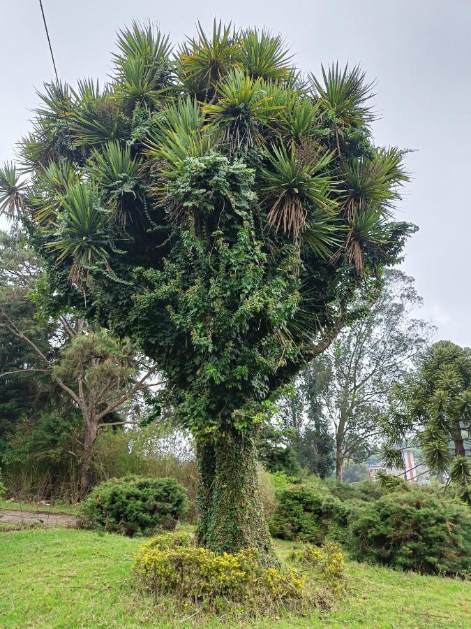 Natures Retreat Hotels And Resorts Ooty Extérieur photo